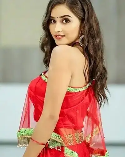 Call Girls Service Gingee